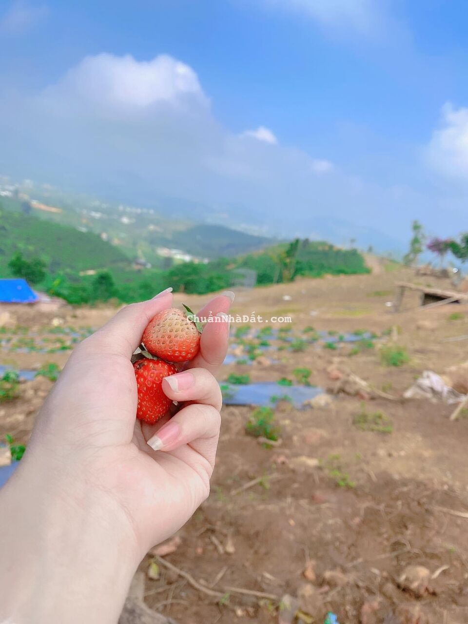 CẦN CHUYỂN NHƯỢNG 1000M2 VIEW SĂN MÂY NGAY KHU DU LỊCH NGHỈ DƯỠNG TP. BẢO LỘC