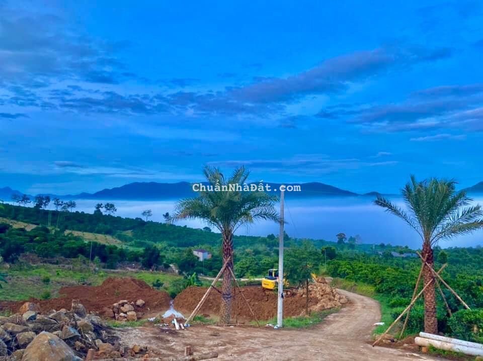 CẦN CHUYỂN NHƯỢNG 1000M2 VIEW SĂN MÂY NGAY KHU DU LỊCH NGHỈ DƯỠNG TP. BẢO LỘC