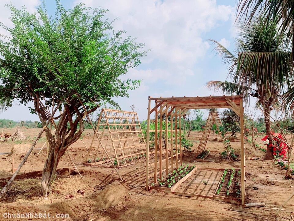 BÁN ĐẤT VƯỜN 1000M2 SHR 900 TRIỆU VIEW SÔNG SUỐI GẦN SÂN BAY LONG THÀNH, ĐỒNG NAI