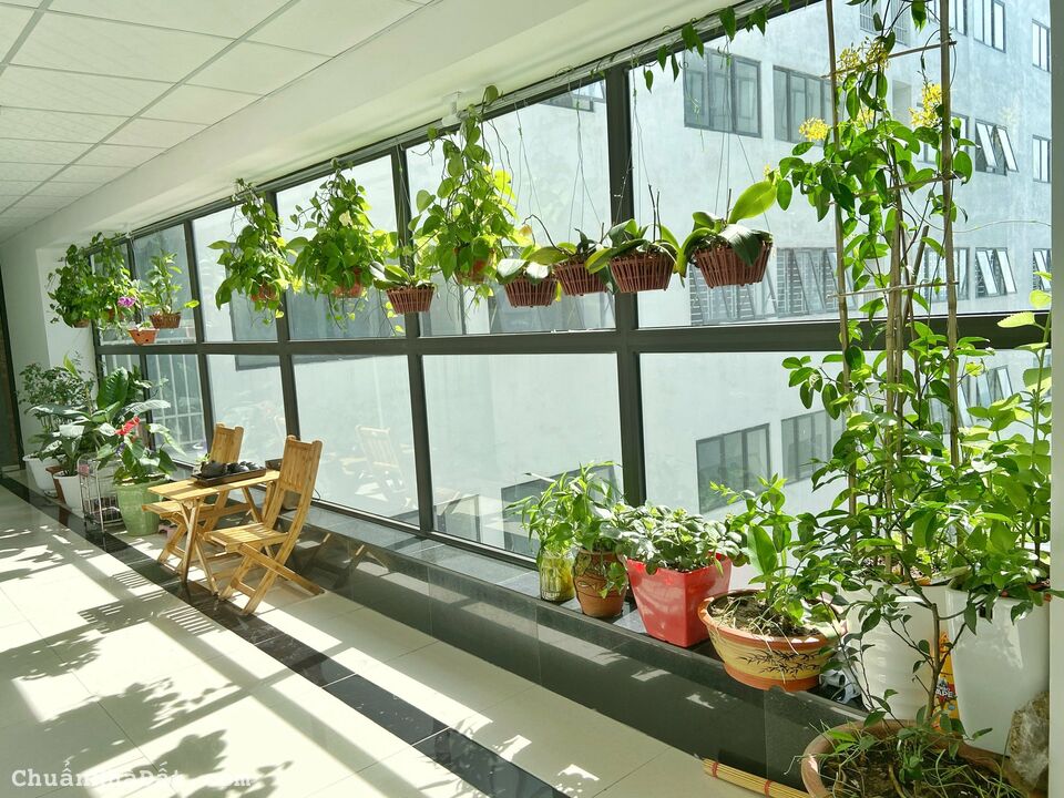 Chỉ hơn 300tr sở hữu căn hộ tại Bảo Sơn Lê Lợi, giảm đến 5% + tặng 22tr. LH 0983 908 118