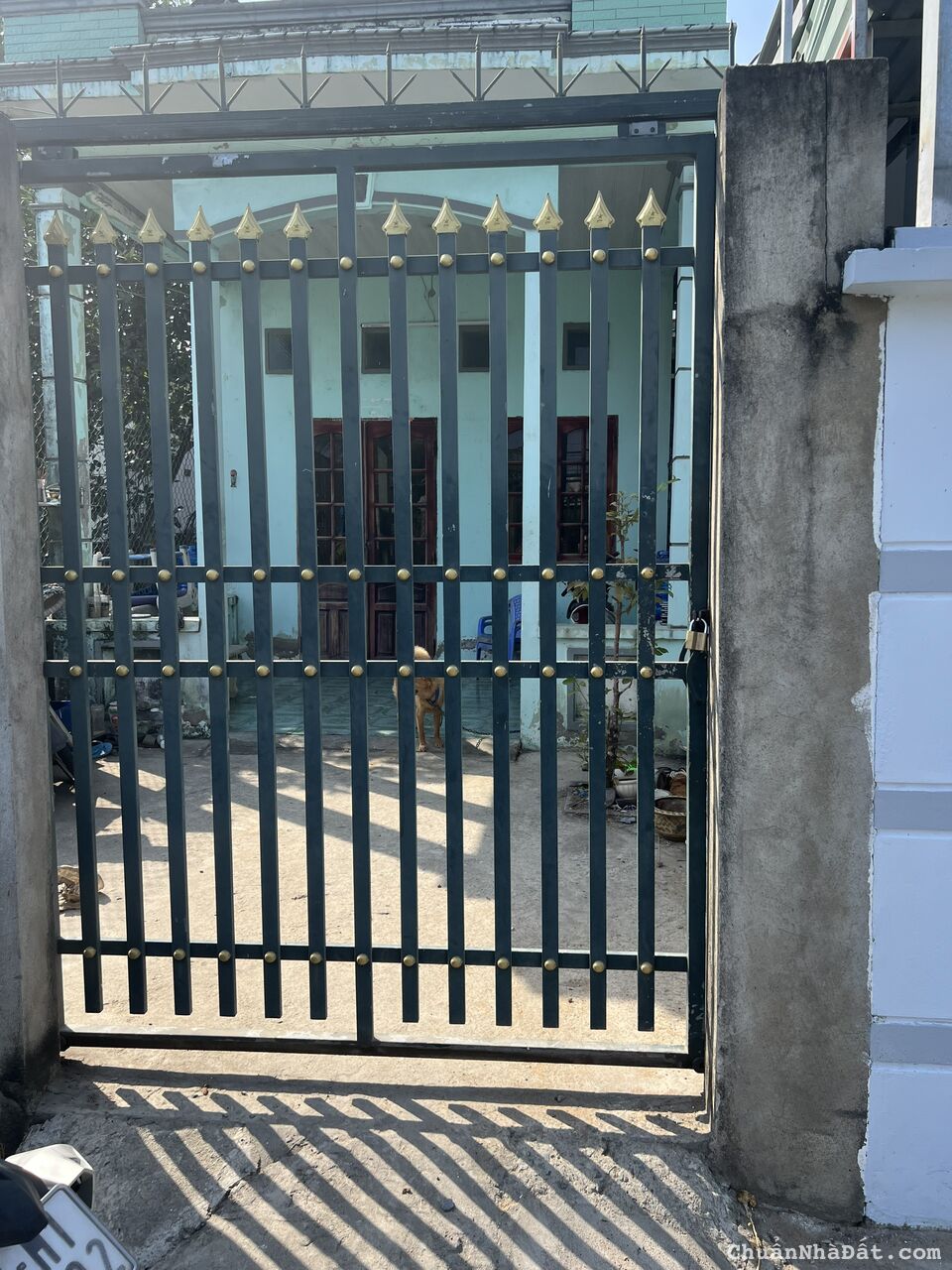 Chủ bán gấp căn nhà cấp 4 thị trấn cần đước 65m2 giá siêu rẻ mua ngay kẻo lỡ Chủ bán gấp căn nhà cấp 4 thị trấn cần đước 65m2 giá siêu rẻ mua ngay kẻo lỡ