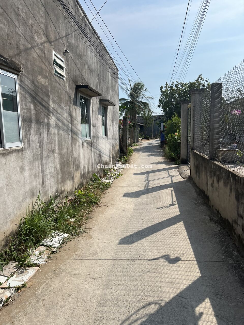 Chủ bán gấp căn nhà cấp 4 thị trấn cần đước 65m2 giá siêu rẻ mua ngay kẻo lỡ Chủ bán gấp căn nhà cấp 4 thị trấn cần đước 65m2 giá siêu rẻ mua ngay kẻo lỡ