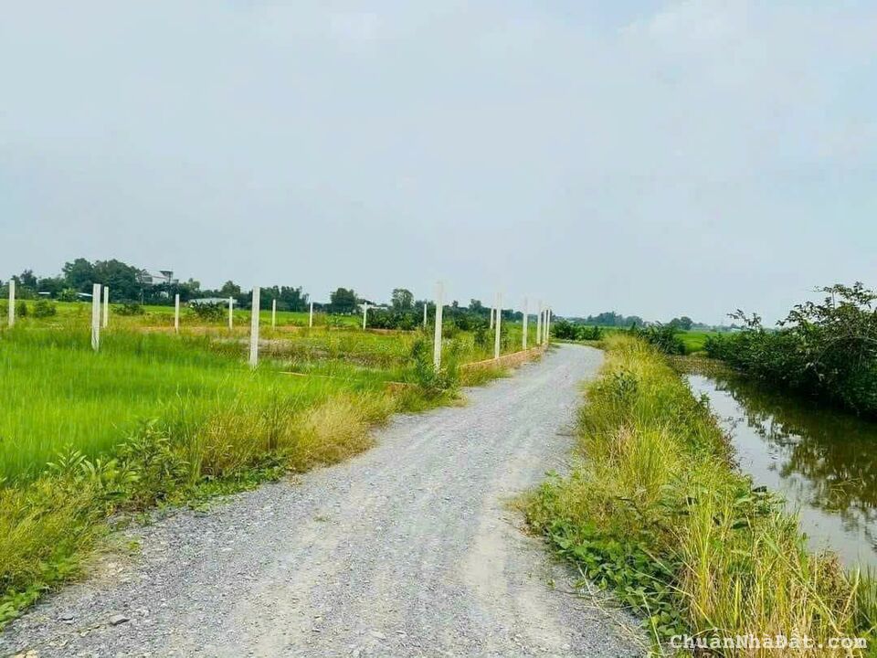 Chủ kẹt hạ giá bán gấp 500m2 vườn Cần giuộc mt kênh xe hơi giá rẻ chỉ 800tr sở hữu ngay