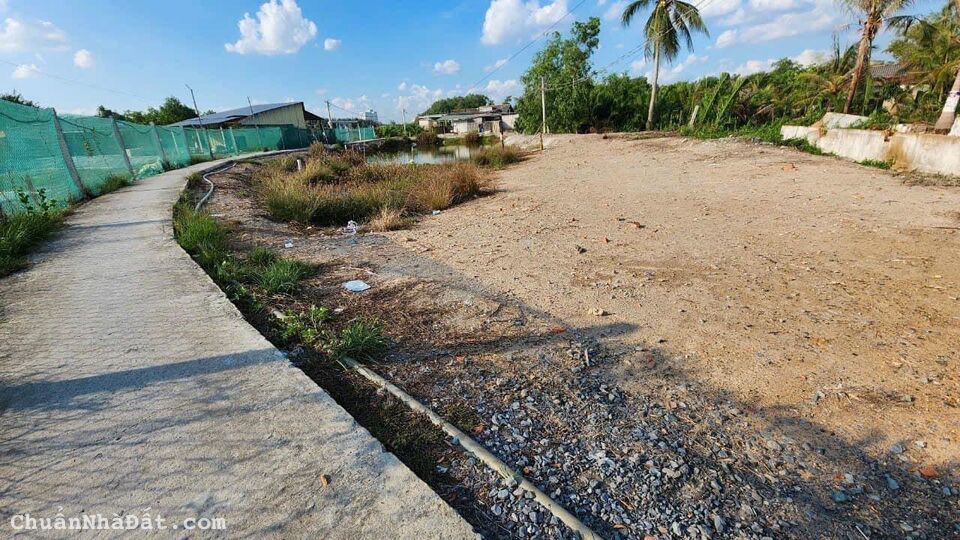 Siêu phẩm nhà vườn 1500m2 Tân Chánh giá đầu co cho khách mua kiếm lời