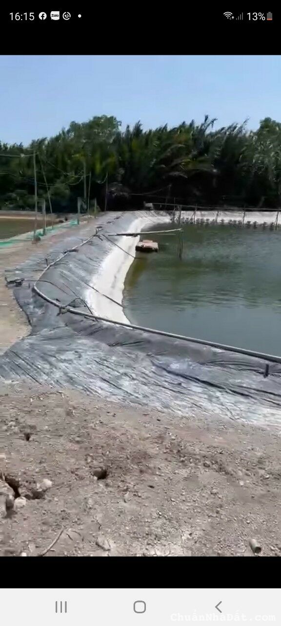 Chủ cần bán gấp 2400m2 lúa Tân Chánh giá rẻ 550 mua ngay kẻo lỡ Chủ cần bán gấp 2400m2 lúa Tân Chánh giá rẻ 550 mua ngay kẻo lỡ