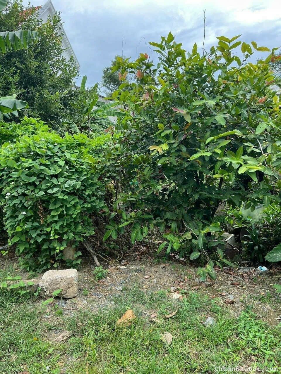 Chủ kẹt hạ giá bán lỗ nền thổ 135m2 mt HL24 Tân Ân giá rẻ đầu tư mua sinh lời 