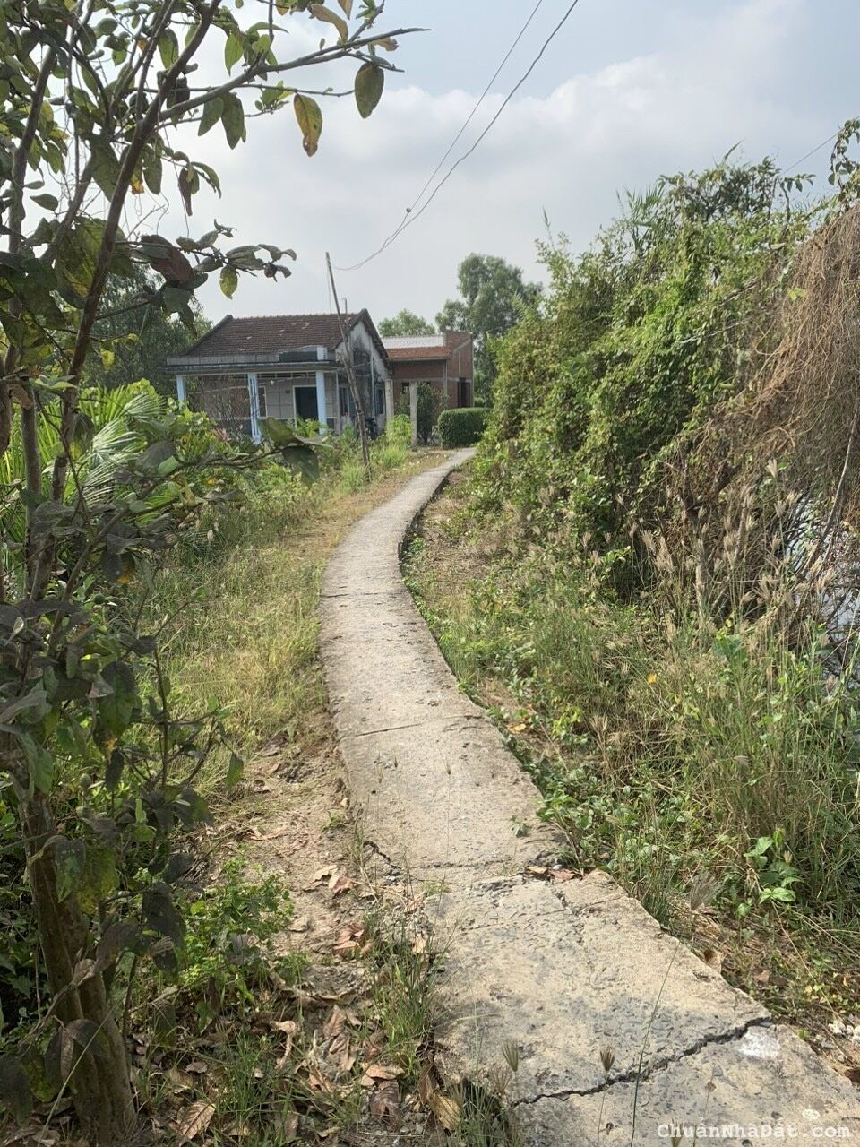 Đất nhà vườn 600m2 Tân Ân giá rẻ đầu tư cho khách mua kiếm lời 700tr