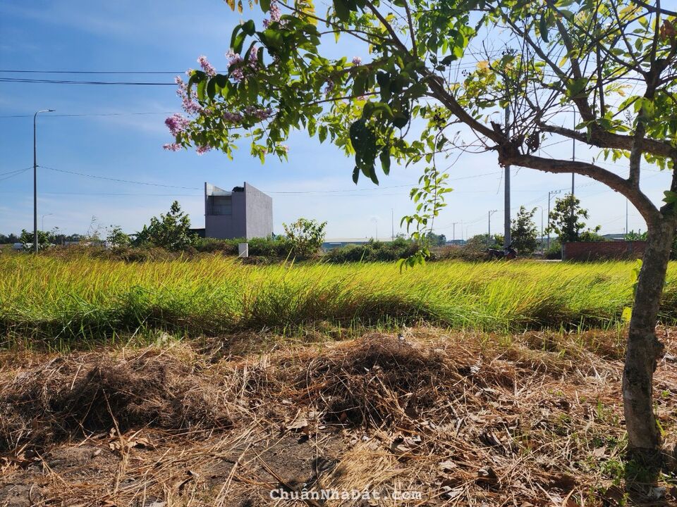 Chính chủ cần bán gấp 85m2 tđc Phước Đông giá rẻ đầu tư mua là lời 680tr