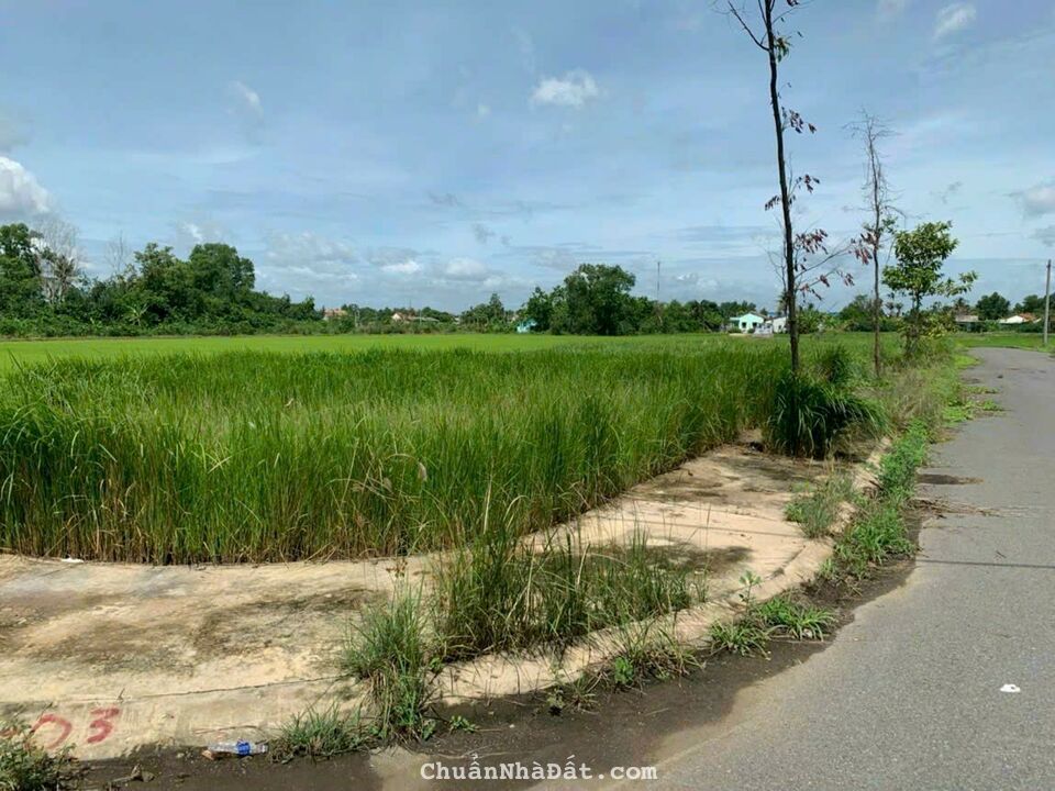 Kẹt tiền bán lỗ nền biệt thự mini 131m2 kdc Nam Phong Dargon giá rẻ cực kì 1 tỏi 2