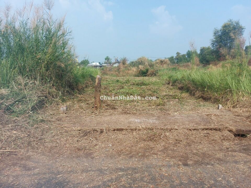 Cần bán gấp nền 100m2 kdc Nam Phong giá rẻ đầu tư kiếm lời ngay 750tr