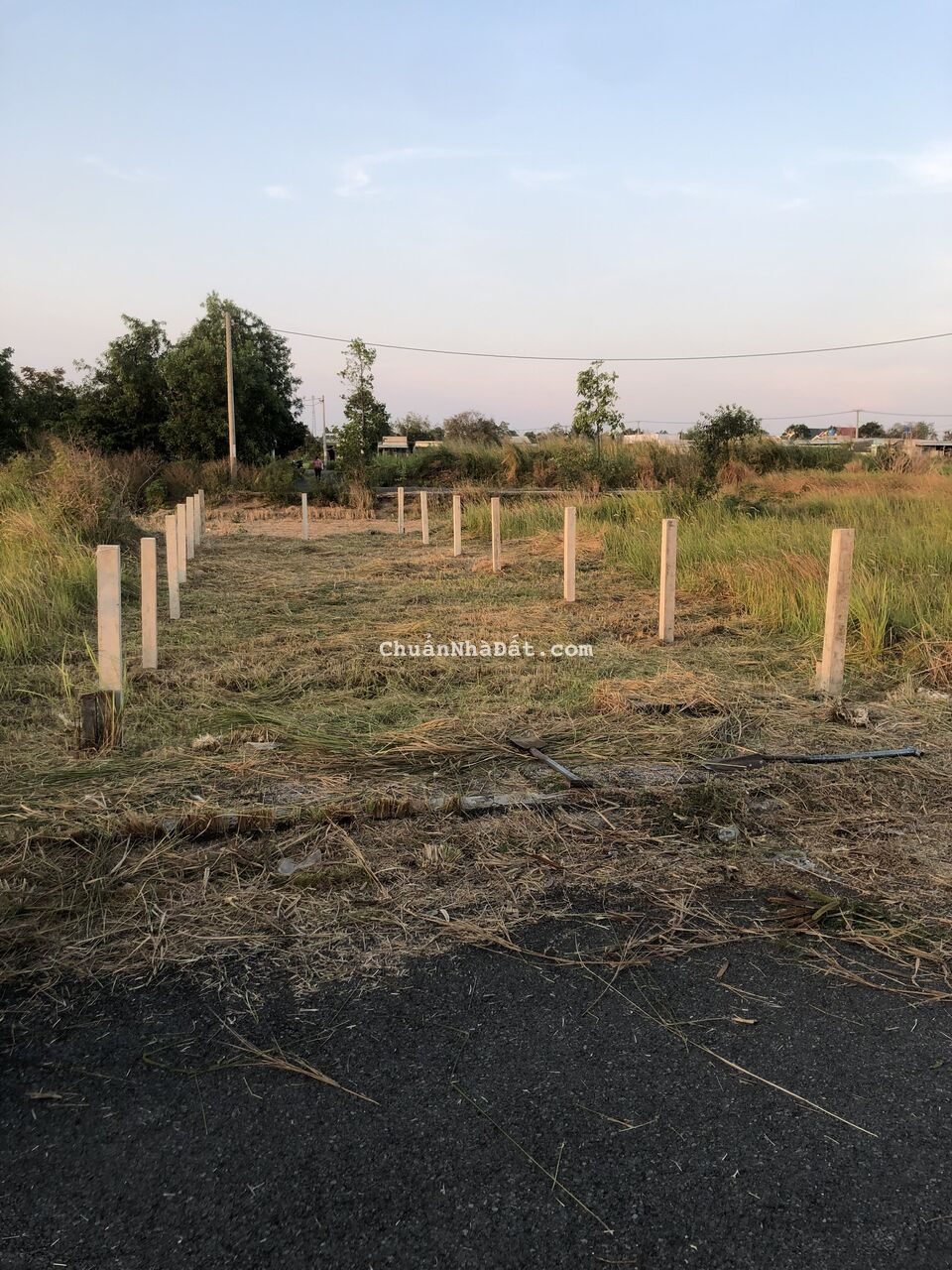 Chủ cần bán gấp 85,5m2 nền kdc Nam Phong Lotous giá rẻ đầu tư 750tr