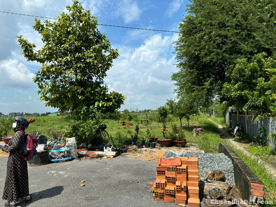 Đất nền kdc Tân Lân 5 HIỆP kẹt tiền bán lỗ giá rẻ 690tr Đất nền kdc Tân Lân 5 HIỆP kẹt tiền bán lỗ giá rẻ 690tr