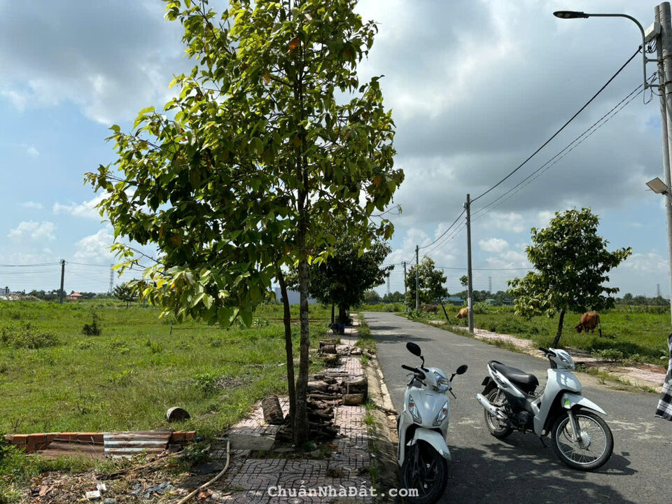 Đất nền kdc Tân Lân 5 HIỆP kẹt tiền bán lỗ giá rẻ 690tr Đất nền kdc Tân Lân 5 HIỆP kẹt tiền bán lỗ giá rẻ 690tr