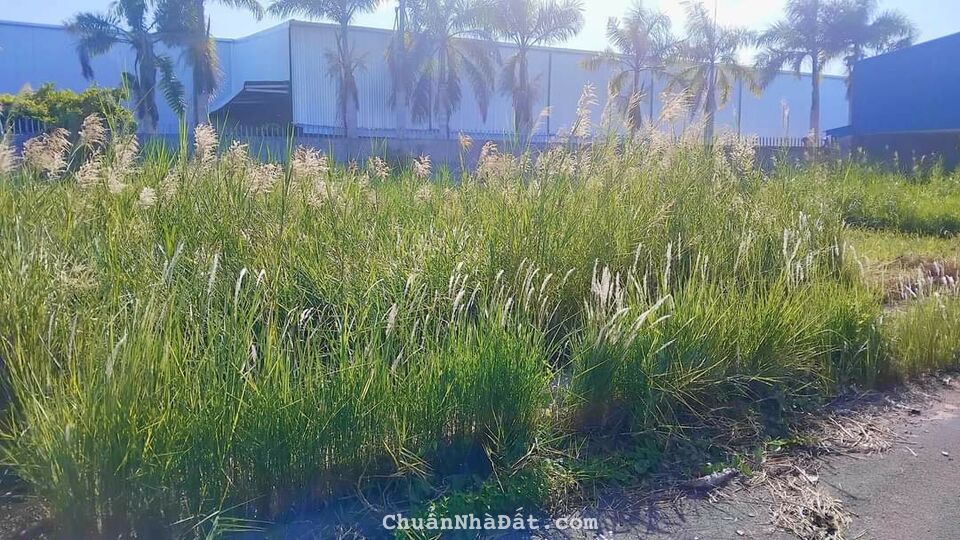 Chủ kẹt hạ giá bán lỗ 120m2 kdc Nam Phong Ecopark Tân Trạch xả lỗ 720tr có ngay lô đất đẹp