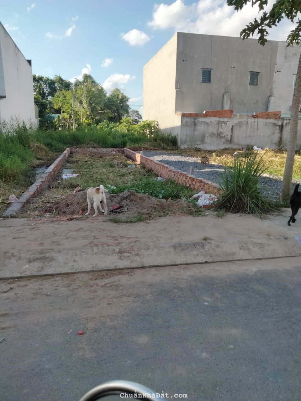 Chủ bán gấp 81m2 nền đẹp khu công nghiệp cầu Tràm giá tốt đầu tư