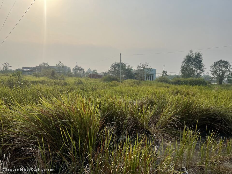 Chủ cần bán gấp lô góc 121m2 kdc Ecosun Tân Trạch giá rẻ đầu tư bao lợi nhuận 