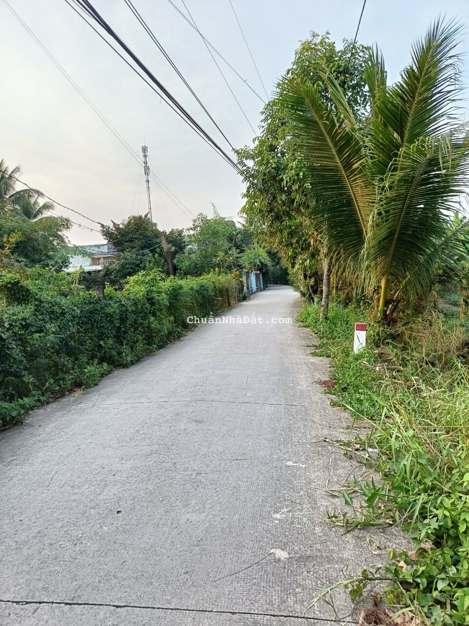 Kẹt tiền bán lỗ 240m2 thổ mt xe hơi Phước Lâm giá cực rẻ khi mua 670tr sở hữu ngay Kẹt tiền bán lỗ 240m2 thổ mt xe hơi Phước Lâm giá cực rẻ khi mua 670tr sở hữu ngay