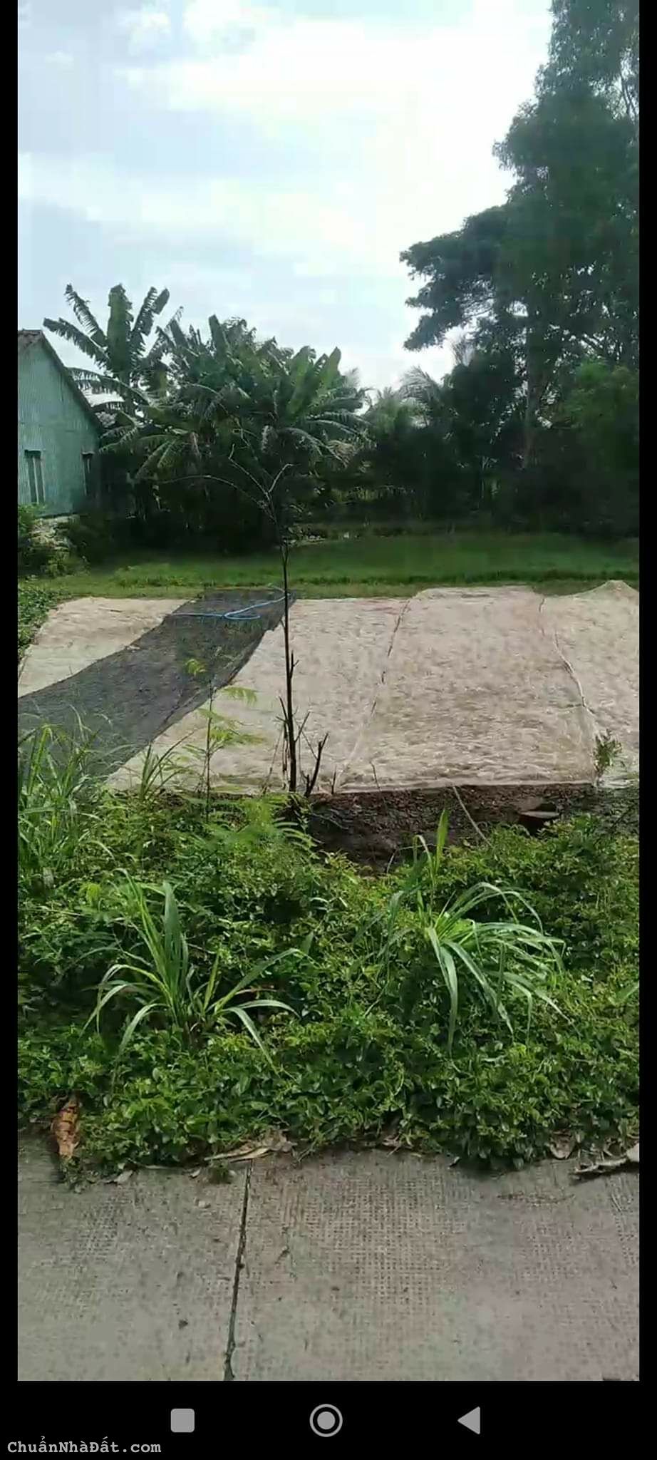 Bán gấp 240m2 thổ mt xe hơi Phước Lâm - Cần giuộc hạ giá giảm còn 680tr mua ngay kẻo lỡ Bán gấp 240m2 thổ mt xe hơi Phước Lâm - Cần giuộc hạ giá giảm còn 680tr mua ngay kẻo lỡ