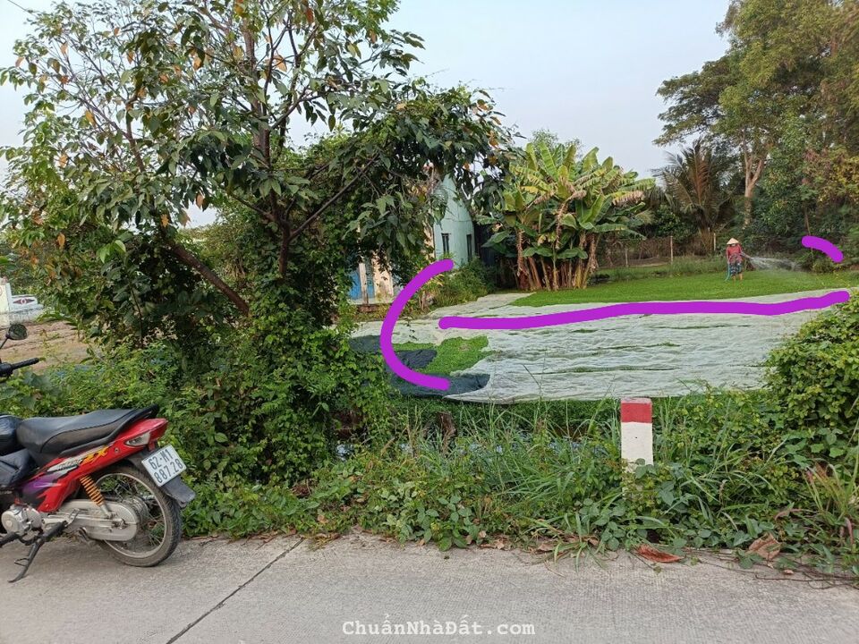 Kẹt tiền bán lỗ 240m2 thổ mt xe hơi Phước Lâm giá cực rẻ khi mua 670tr sở hữu ngay Kẹt tiền bán lỗ 240m2 thổ mt xe hơi Phước Lâm giá cực rẻ khi mua 670tr sở hữu ngay