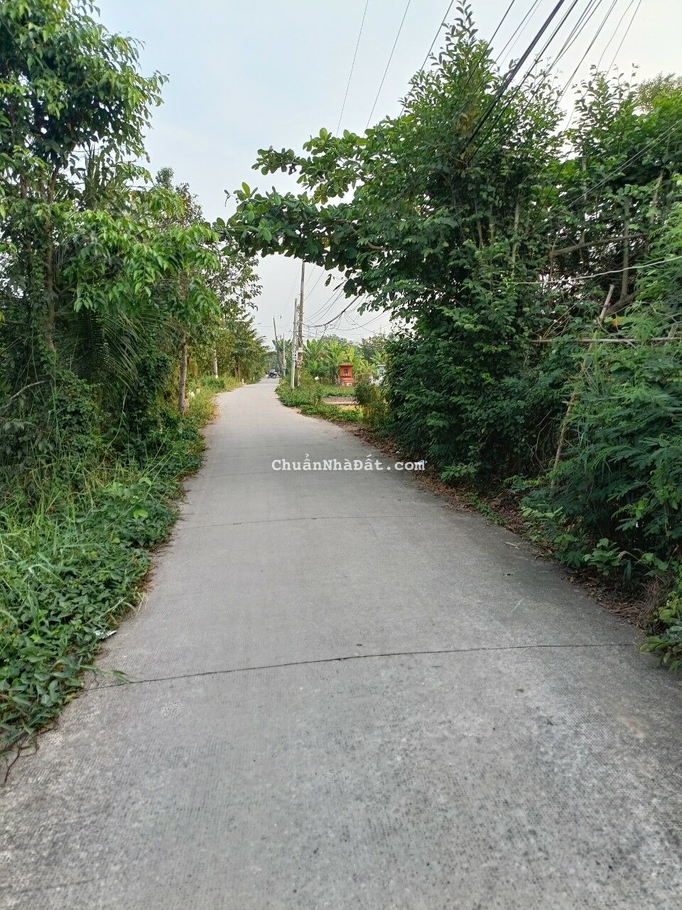 Kẹt tiền bán lỗ 240m2 thổ mt xe hơi Phước Lâm giá cực rẻ khi mua 670tr sở hữu ngay Kẹt tiền bán lỗ 240m2 thổ mt xe hơi Phước Lâm giá cực rẻ khi mua 670tr sở hữu ngay