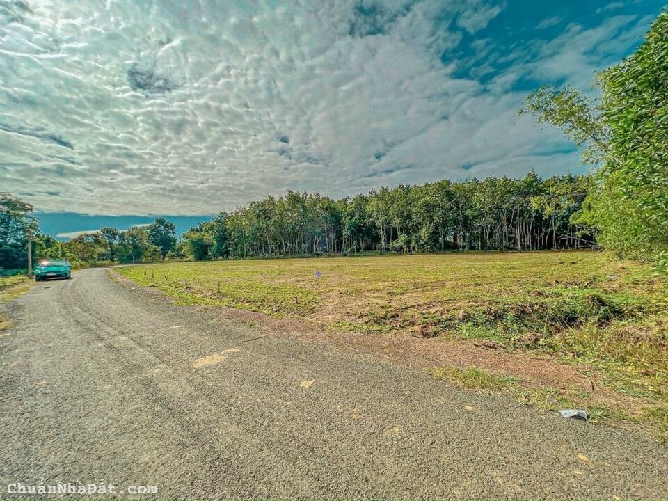 Đất nền thổ cư sổ sẵn giá 300 triệu 300m2 Đất nền thổ cư sổ sẵn giá 300 triệu 300m2