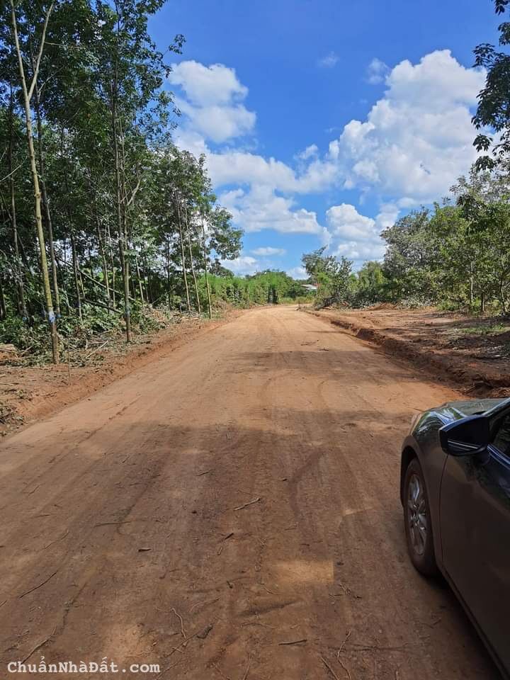 Bán gấp đất trong tuần, nền sổ sẵn Lộc Ninh Bán gấp đất trong tuần, nền sổ sẵn Lộc Ninh