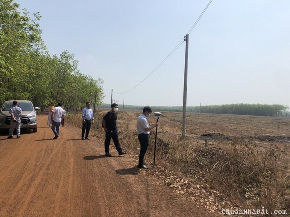 Chính chủ cần bán gấp lô đất thổ cư sổ sẵn Chính chủ cần bán gấp lô đất thổ cư sổ sẵn