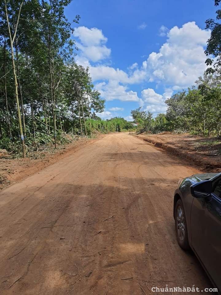 Đất nền Lộc Ninh đầu tư thấp lợi nhuận cao Đất nền Lộc Ninh đầu tư thấp lợi nhuận cao