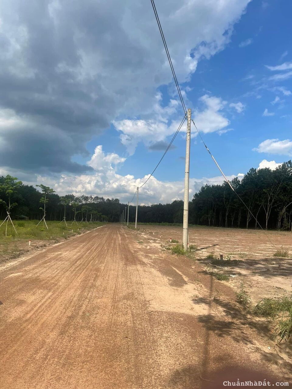 Làm giàu với đất nền tiềm năng, tại sao lại không sở hữu lô đất tại Lộc Ninh ngay hôm nay Làm giàu với đất nền tiềm năng, tại sao lại không sở hữu lô đất tại Lộc Ninh ngay hôm nay