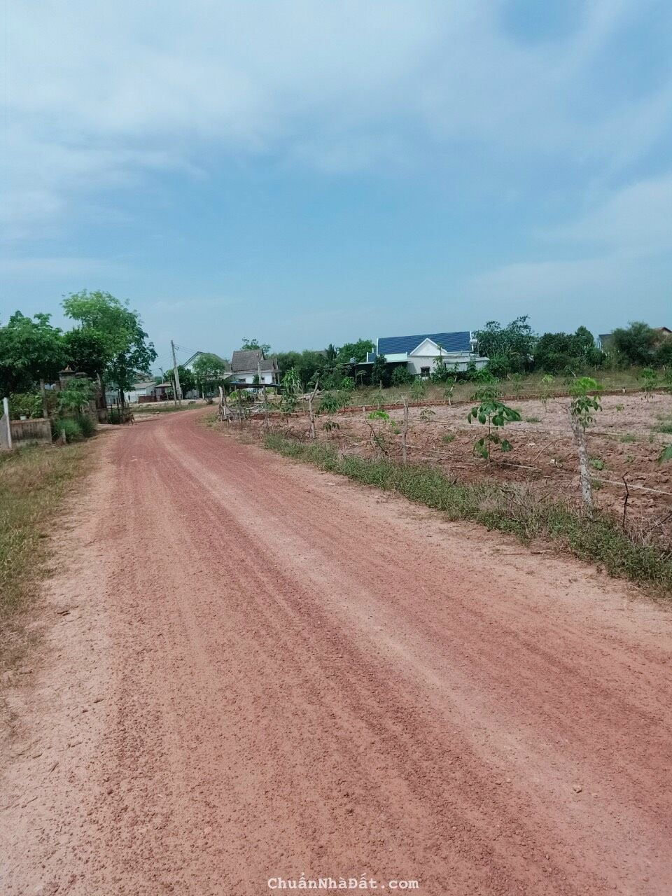 Đất mặt tiền thổ cư sổ sẵn tại Lộc Ninh giá sốc Đất mặt tiền thổ cư sổ sẵn tại Lộc Ninh giá sốc