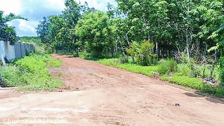 Chính chủ cần bán gấp lô đất thổ cư sổ sẵn Chính chủ cần bán gấp lô đất thổ cư sổ sẵn