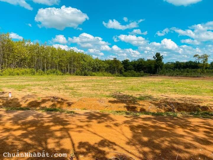 Đất Lộc Ninh, nóng theo từng giờ, sinh lời từng phút