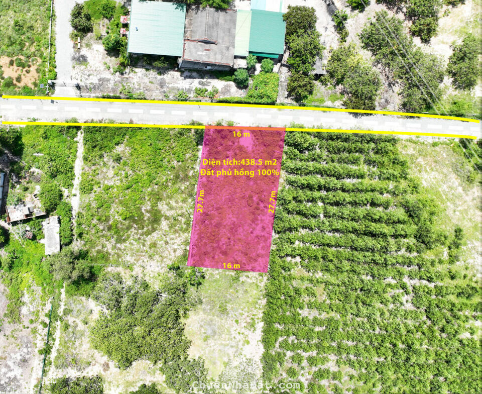 Bán Đất Hàm Tân Bình Thuận Giá Rẻ Cạnh Kcn Sơn Mỹ 1 Bán Đất Hàm Tân Bình Thuận Giá Rẻ Cạnh Kcn Sơn Mỹ 1