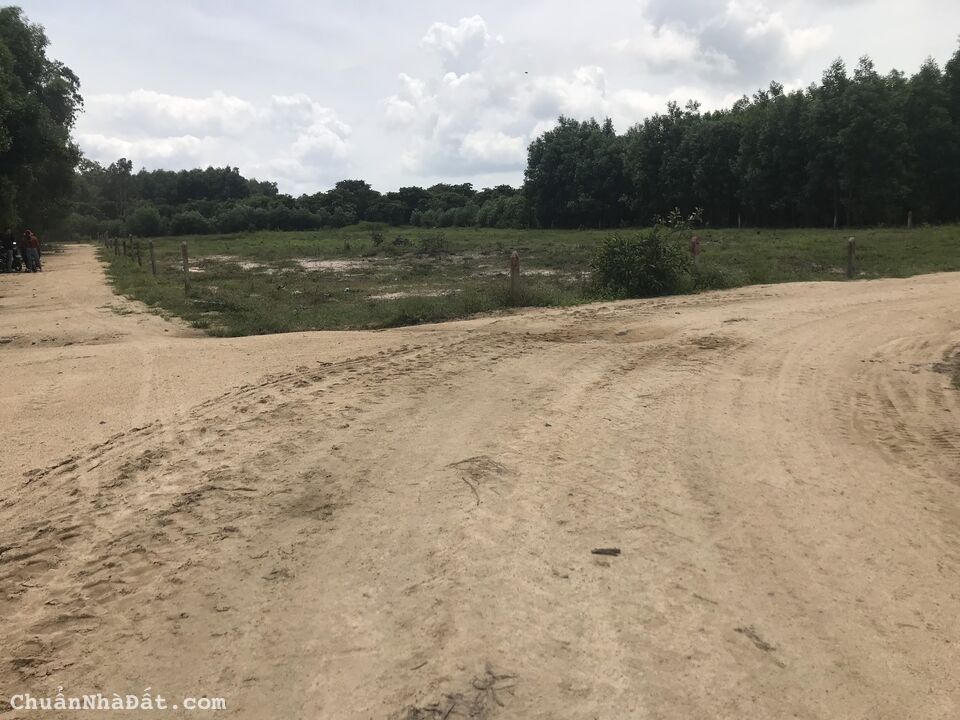 Chỉ Duy Nhất 1 Lô Đất 2MT 95 triệu/mét Tại Hàm Tân Bình Thuận Cạnh Kcn Sơn Mỹ 1