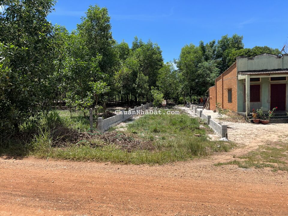 Cơ Hội Vàng Sở Hữu Ngay Lô Đất Giá Rẻ Siêu Đẹp Tại Sơn Mỹ Hàm Tân