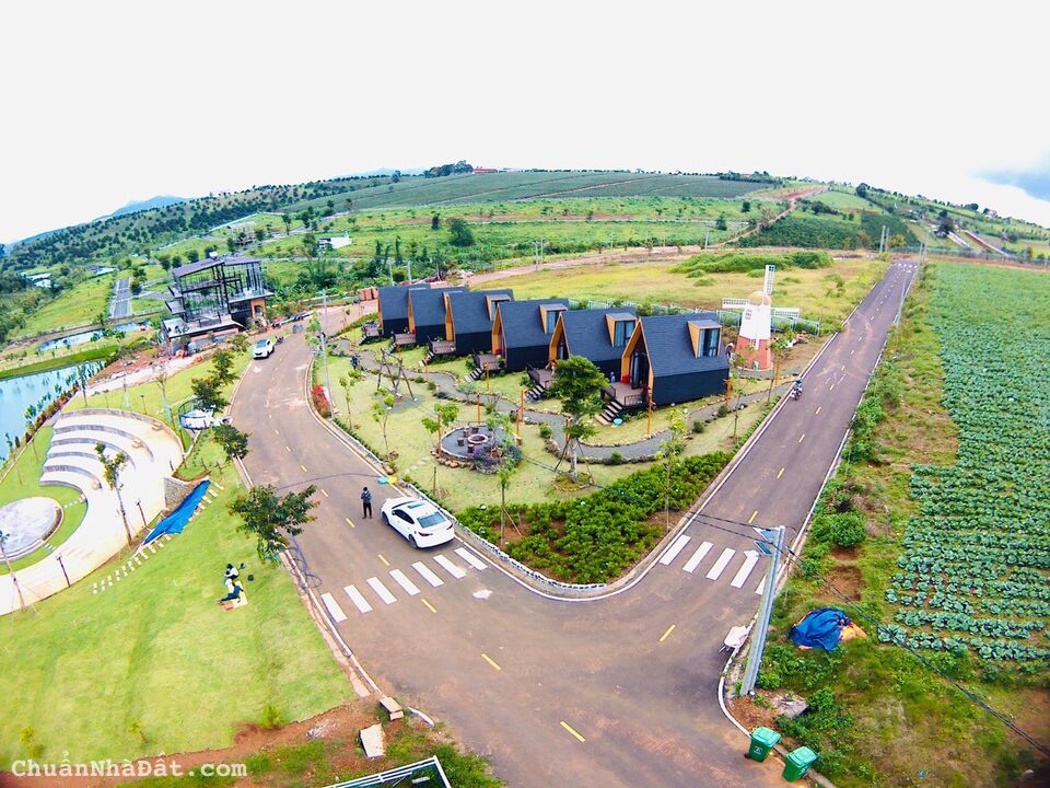 Tôi cần bán lô đất sào ngay KDL Đồi Chè Tâm Châu - Bảo Lộc có 250m thổ cư. Giá 4tr/m2, sổ hồng sẵn Tôi cần bán lô đất sào ngay KDL Đồi Chè Tâm Châu - Bảo Lộc có 250m thổ cư. Giá 4tr/m2, sổ hồng sẵn