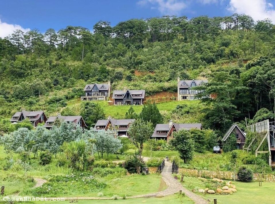 Tôi cần bán lô đất sào ngay KDL Đồi Chè Tâm Châu - Bảo Lộc có 250m thổ cư. Giá 4tr/m2, sổ hồng sẵn Tôi cần bán lô đất sào ngay KDL Đồi Chè Tâm Châu - Bảo Lộc có 250m thổ cư. Giá 4tr/m2, sổ hồng sẵn