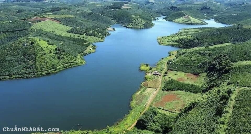 Gia đình e có miếng đất sào 2 mặt tiền giá 1ty5/645m2 view Hồ như HÌNH ở Bảo Lộc - Lâm Đồng cần bán Gia đình e có miếng đất sào 2 mặt tiền giá 1ty5/645m2 view Hồ như HÌNH ở Bảo Lộc - Lâm Đồng cần bán