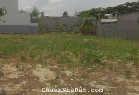 Nhanh tay mua ngay lô đất thổ cư 100m2 Nguyễn Hữu Trí, Tân Bửu, Bến Lức. Cách Ngã 3 Tân Bửu 800m