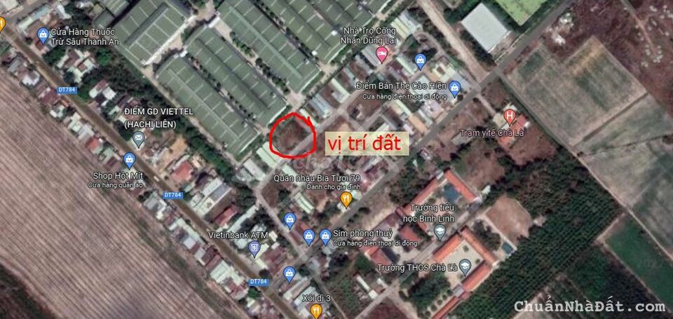 NHÀ TÔI ĐANG KẸT TIỀN CẦN BÁN LÔ ĐẤT Ở KCN CHÀ LÀ