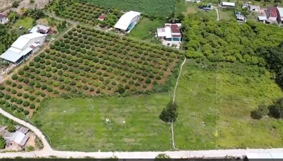 GIA ĐÌNH CHUYỂN VỀ SÀI GÒN SỐNG BÁN NHANH 200M2 THỔ CƯ