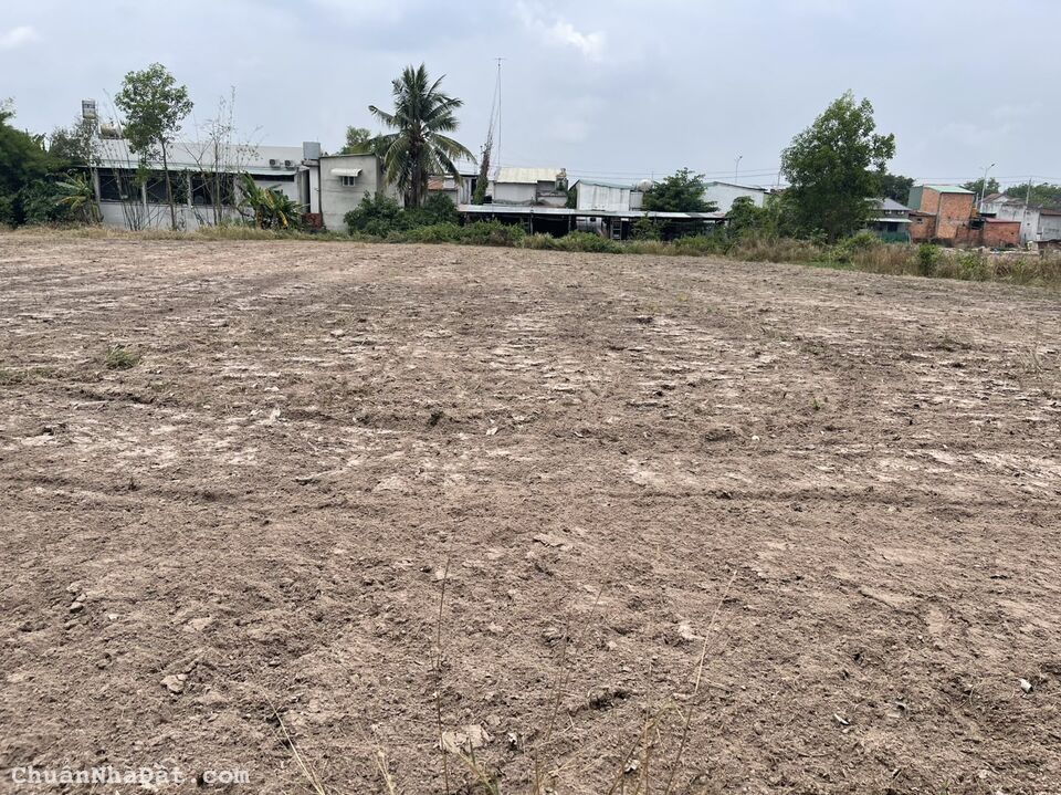 CHỦ NGỘP NGÂN HÀNG BÁN NHANH 500M2 GÒ DẦU