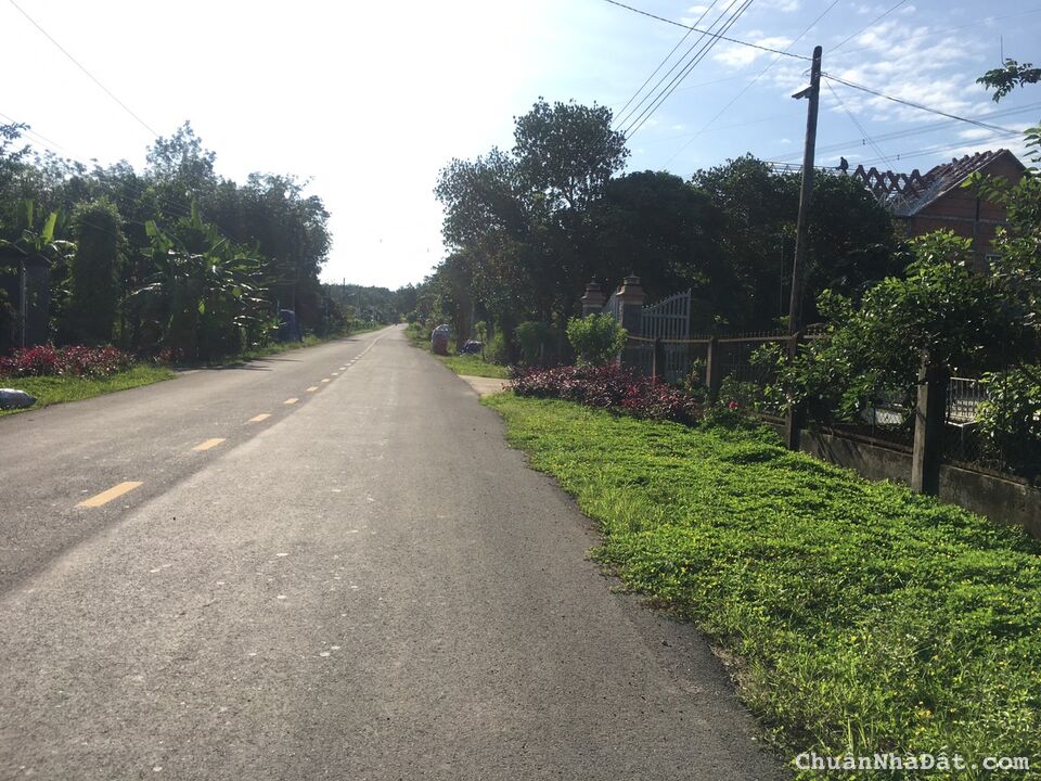 Đất ngộp trung tâm Phú Giáo-BD,TC 100m,kcn bao quanh tứ phía