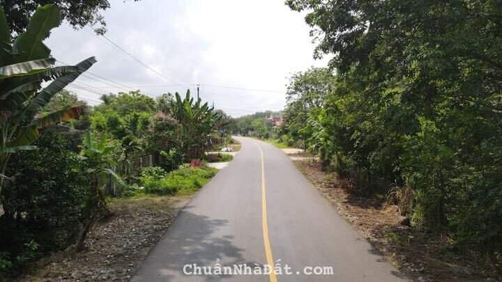 HOT HOT HOT đất nền giá rẻ gần KCN hiện hữu,sổ riêng,giá F0,hỗ trợ vay