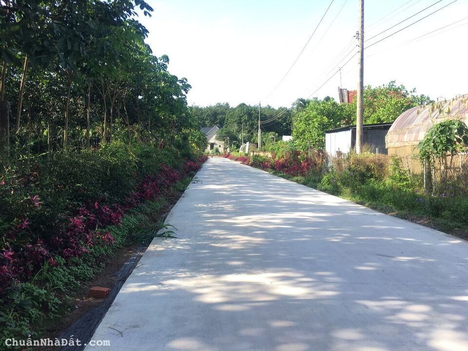 Chính chủ bán gấp lô đất đối diện kcn An Bình, sổ sẵn,diện tích lớn Chính chủ bán gấp lô đất đối diện kcn An Bình, sổ sẵn,diện tích lớn