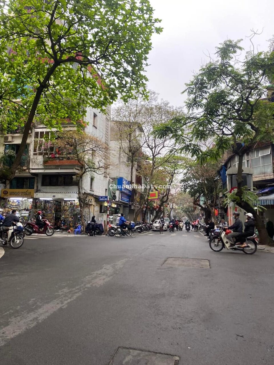 Bán đất tặng nhà 3 tầng mặt phố cổ Hàng Bồ 257m2x3 tầng, mặt tiền 6m giá 141 tỷ.