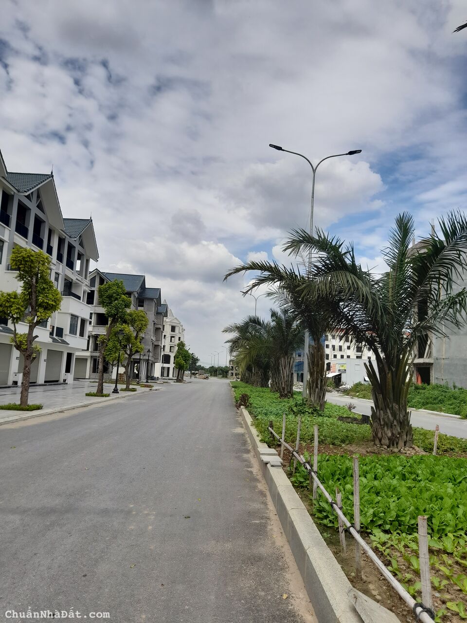 Cần bán lô đất DV Lai Xá, Kim Chung, (TL9) 114 m2, mặt tiền 8,69m, vị trí đẹp, LH: 0901 513 811