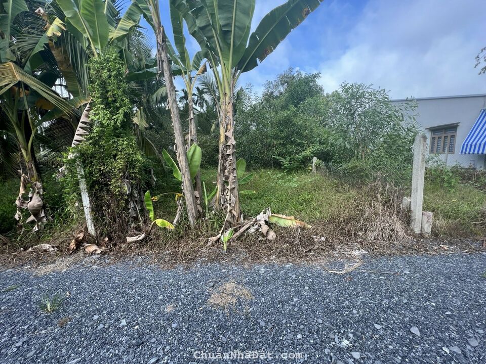 Lô đất ngay chợ Thạnh Đức, Gò Dầu giá chỉ 700tr