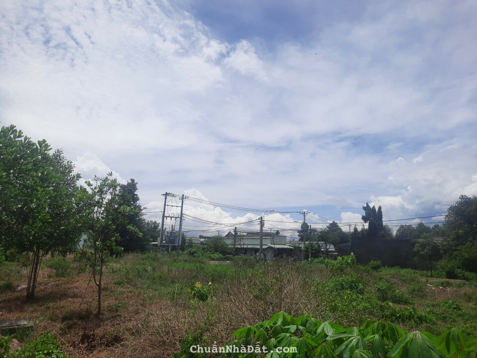 Đất đẹp cách trung tâm TX Trảng Bàng chỉ 1,5km, KCX Linh Trung 3 2,2km dân cư đông