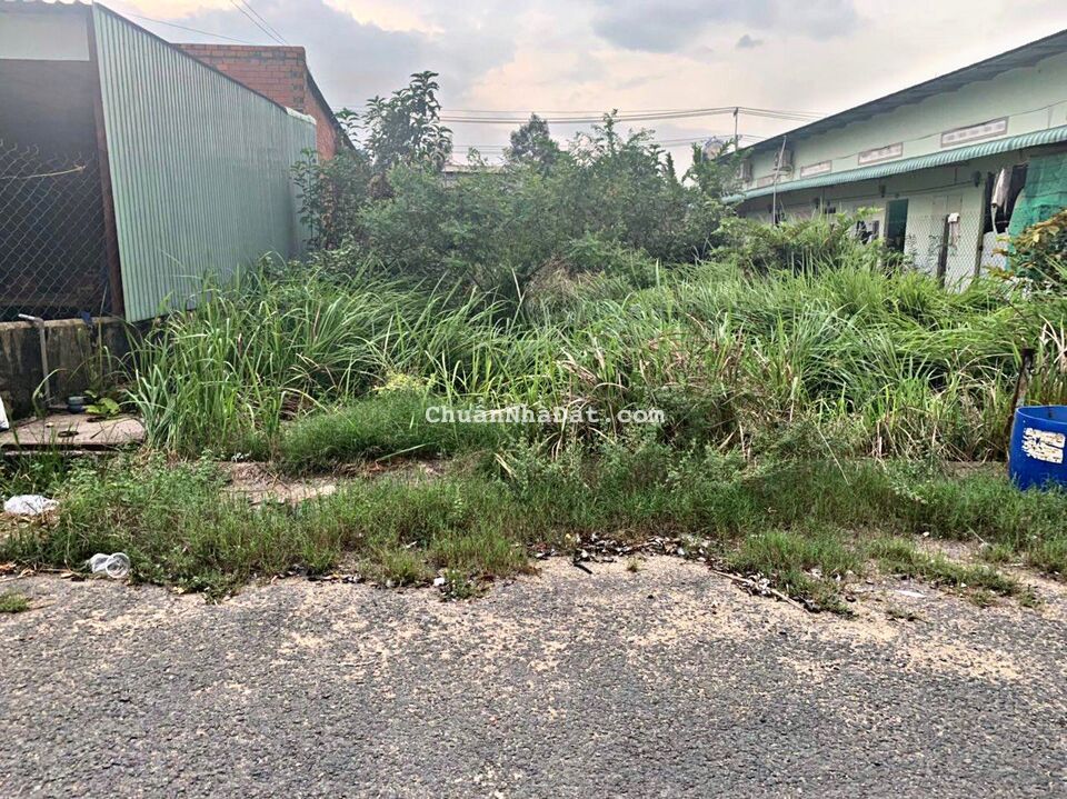 Đất sát ngay KCN đường nhựa 12m cạnh 3 trường học